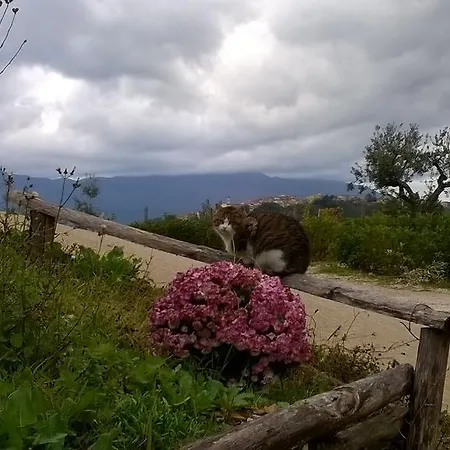 Agriturismo Villa Vea