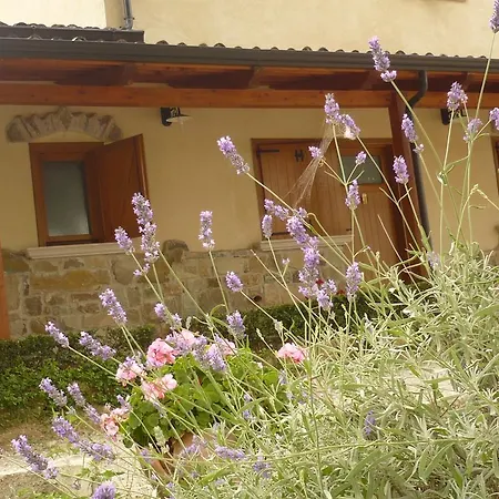 Venkovský dům Agriturismo Villa Vea Bellosguardo